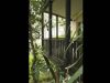 palm-grove-house-deck
