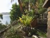 palm-beach-house-looking-to-the-sea