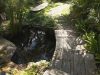 davids-house-showing-bridge-in-garden